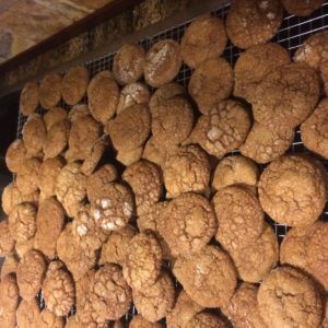 molasses cookies